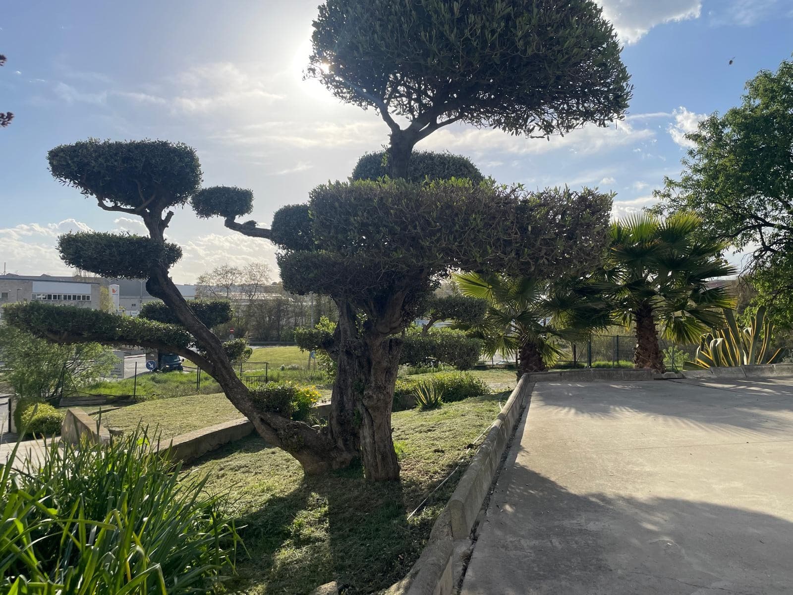 Jardín de la masía